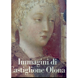 Immagini di Castiglione Olona - CARIPLO